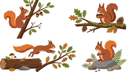 Cute Red Squirrel Set in Autumn Forest with Acorns, Mushrooms, Oak Leaves, Pine Cones, Logs, and Rocks for Nature Designs © MdImran