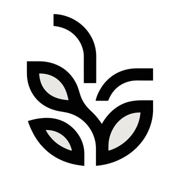 Vector of a stylized plant growing with leaves and stem in black lines