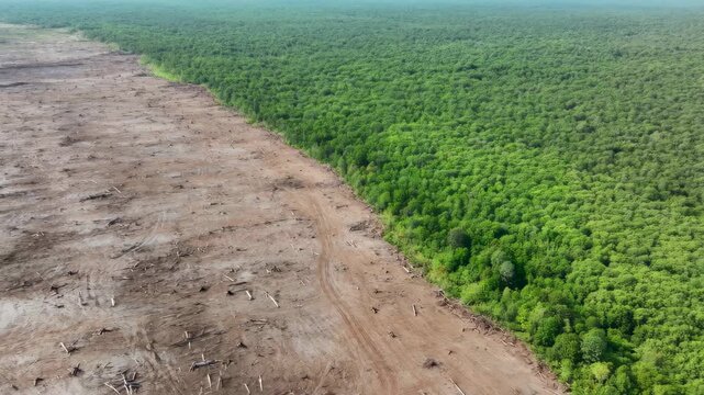 Aerial view of deforested land adjacent to lush green forest. Visual representation of environmental impact and the importance of conservation efforts