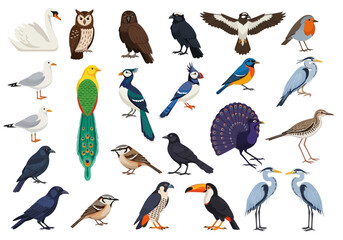Obraz premium A Collection of Diverse Bird Species, Featuring Owls, Toucans, Peacocks, and More