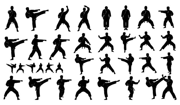Martial Arts, Karate, and Taekwondo Fighter Black Silhouette Icon Set Featuring Kicking, Punching, Stances, and Combat Training Poses for Sports and Dojo Branding