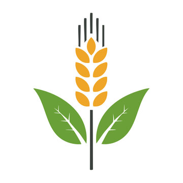 Flat design icon of a wheat ear with leaves