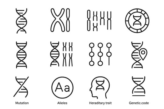 Simple genetic symbols: dna, chromosomes, mutations, alleles, hereditary traits