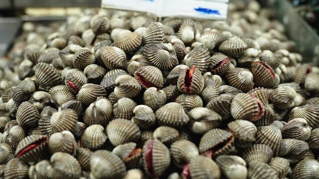 Close-up of fresh cockles displayed for sale at seafood market in Thailand