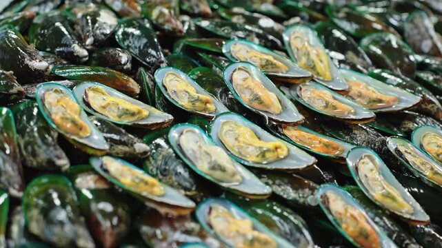 Closeup of fresh green mussels displayed for sale at seafood market in Thailand