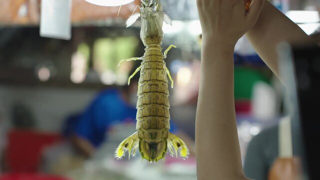 Customer taking photo of live mantis shrimp while shopping at a traditional wet market in Thailand