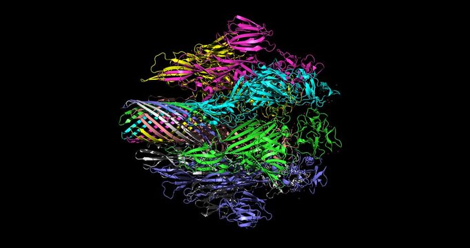 Vibrio cholerae (cholera) cytolysin, bacterial hemolytic pore-forming toxin complex, helices/sheets 3D molecule spinning, 4K