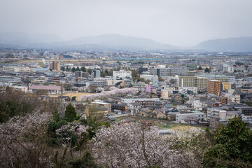 Obraz premium city scape view form view point where can see whole city town of Toyama Japan alps ,colorful bridge ,river and cherry blossom Toyama Hokuriku Japan