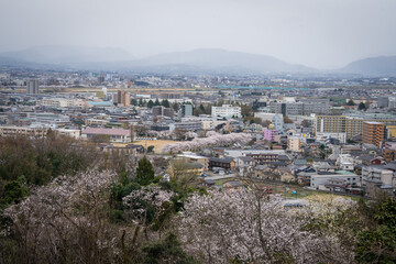 Obraz premium city scape view form view point where can see whole city town of Toyama Japan alps ,colorful bridge ,river and cherry blossom Toyama Hokuriku Japan