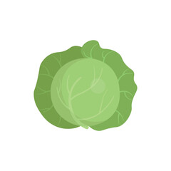 Obraz premium Simple cabbage vegetable isolated on white background. Flat style vector illustration for food, farming and healthy eating concepts.