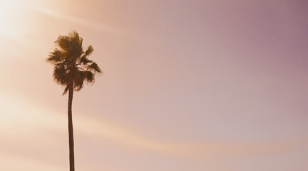 Lone palm silhouette stands against a soft pink sunset sky. Pastel gradient clouds and tropical leaves create a dreamy minimalist background for luxury summer branding © moryachka