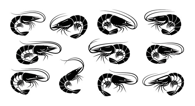 Black and white flying ants in circular formation