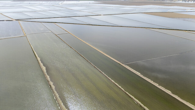 Aerial view of the flooded rice fields and geometric irrigation channels at Isla Minima in the agricultural landscape of Sevilla, Andalucia, Spain.