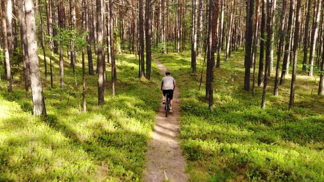 Mountain biking. Man ride bicycle on forest trail. tracking shot