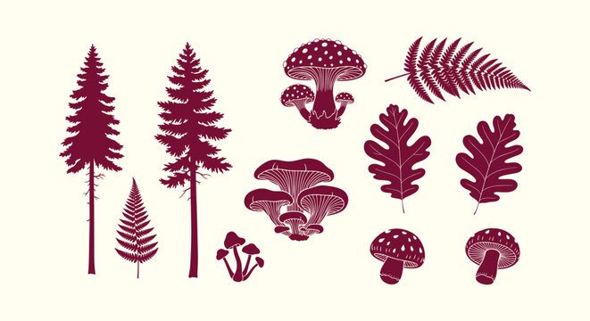 Set of Forest Silhouettes featuring Pine Trees Mushrooms Ferns and Oak Leaves Botanical Vectors