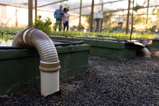 White PVC drain pipe and flexible elbow jutting from green raised bed in greenhouse, gravel shining