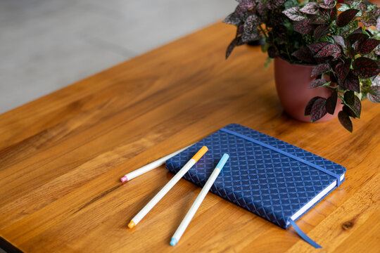 Carnet ferm&eacute; avec stylos et plante