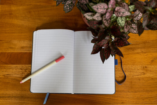 Carnet ouvert vierge avec stylo sur table en bois