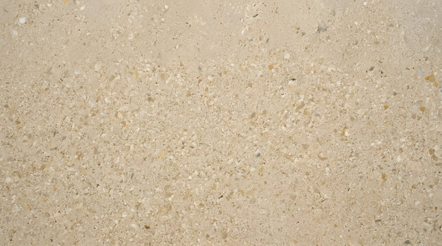 Stone Texture Detail: A close-up view showcases the intricate, granular texture of a light-colored stone, highlighting its natural patterns and subtle variations in color.