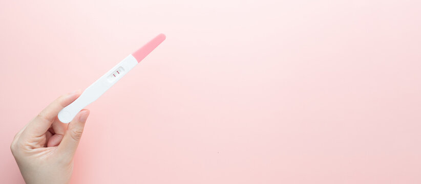 Pregnant woman holding a positive urine pregnancy test on pink background. Pregnancy test kit measure hCG levels in urine.