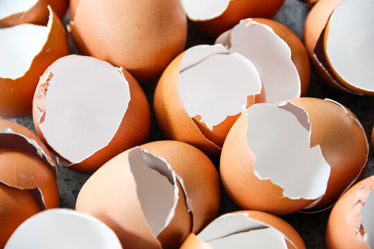 Pile of Broken Eggshells with Natural Texture