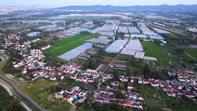 Aerial View of Rural Village and Greenhouse Farmland at Dusk