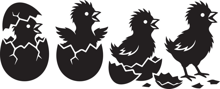 Hatching chick silhouette set. Baby bird in eggshell vector. Easter chicken icons. Newborn bird hatching sequence. Broken egg with chick inside. Minimalist bird vector illustration. Farm animal 