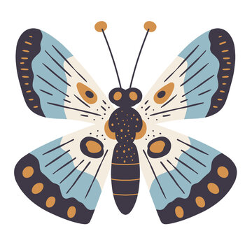 Boho style butterfly illustration with minimal design elements