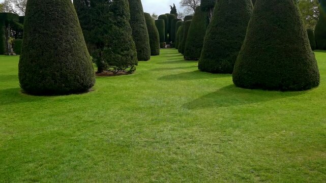 Topiary Packwood House stately home Warwickshire Midlands England UK