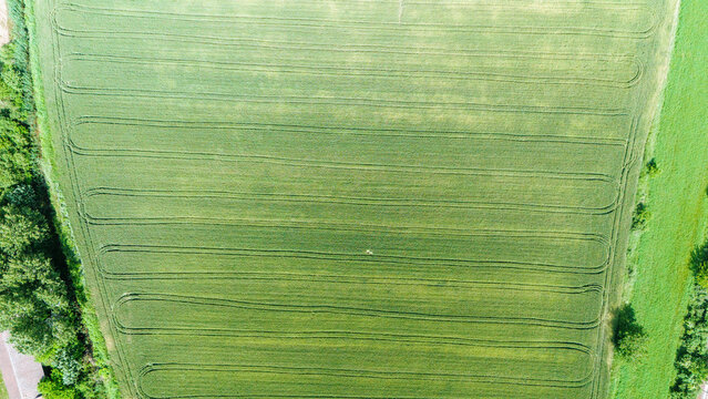 Aerial view of lush green agricultural fields with curved tractor tracks and surrounding trees in Sremska Mitrovica, Vojvodina, Serbia.