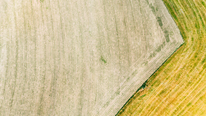 Wide aerial view of harvested farmland with diagonal field edge © YARphotographer