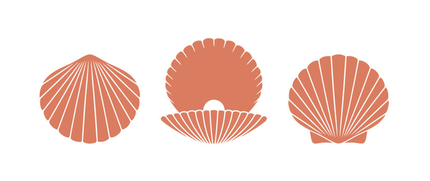Set of minimalist scallop shell illustrations with a pearl in terracotta