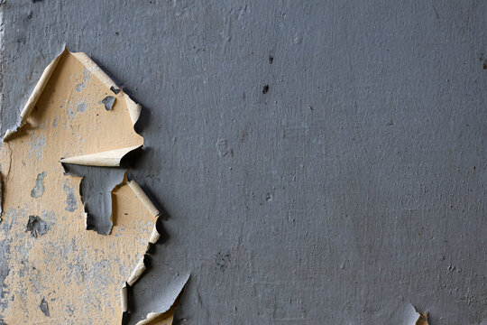 Close-up texture of an old weathered grey concrete wall with a layer of cream paint peeling off and cracking on the side.
