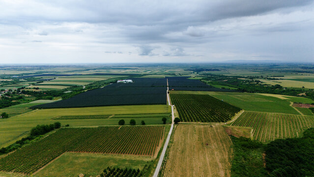 Aerial view of the vast agricultural landscape of Siroke Ledine featuring vineyards, orchards, and a straight rural road under a cloudy sky in Srem District, Vojvodina, Serbia.