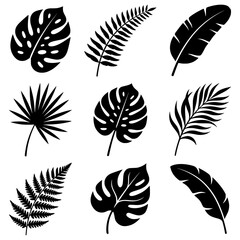 Vector silhouettes of nine tropical leaves in grid layout, including monstera, palm, banana, and fern. Minimalist design for botanical, decorative, and nature themes. © Suriya