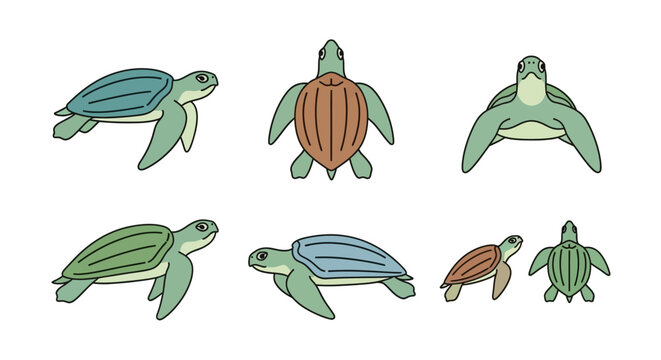 Cartoon turtles variety with different angles isolated on white background