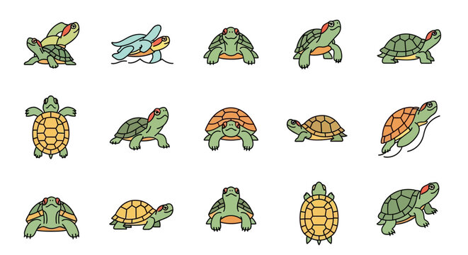 Cartoon turtles variety set flat design isolated elements collection