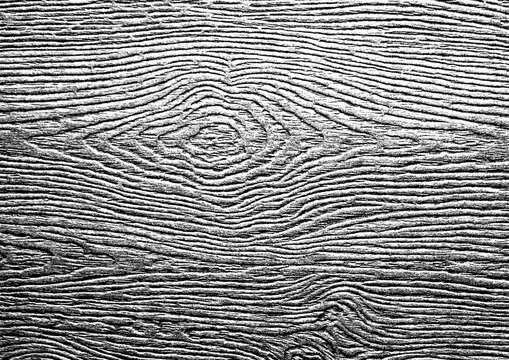 Large wood grain texture with a transparent background
