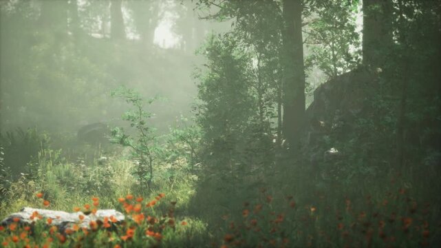 Misty forest clearing with sunlight, soft sunbeams piercing canopy, damp mosscovered rocks and delicate ferns, narrow trail winding through dewy undergrowth,