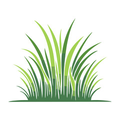 Fototapeta premium Green grass illustration, flat design