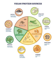 Obraz premium Vegan protein sources diagram shows a pie chart of plant foods, key items include tofu, lentils, and quinoa, conveying balanced plant protein choices. Outline diagram