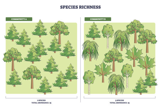 Species richness diagram contrasts two forest communities with equal abundance, highlighting diversity via pines, willows, and oaks across panels. Outline diagram