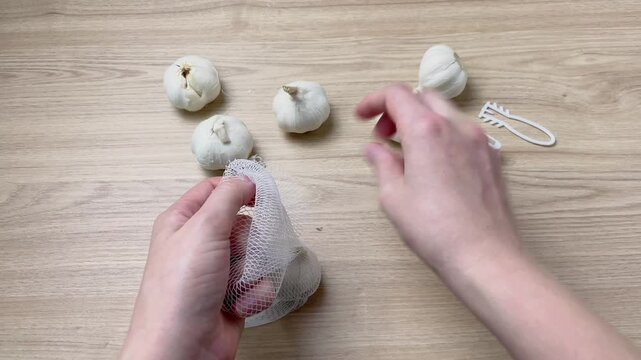A woman's hands place fresh garlic in a white mesh bag and secure it with a plastic clip. A concept for vegetable storage and home food packaging.