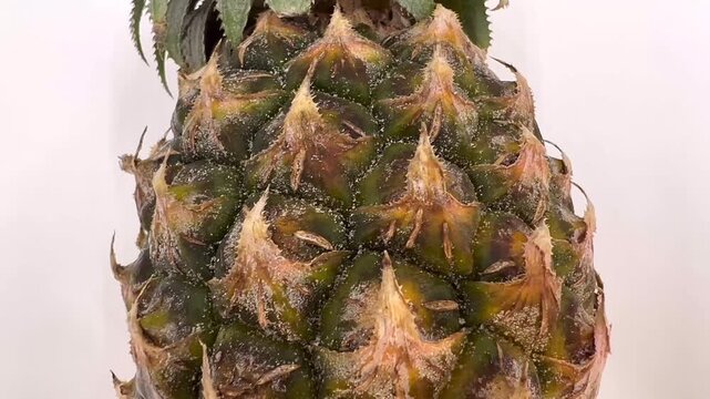 Pineapple Skin Texture Close Up Tropical Fruit Background