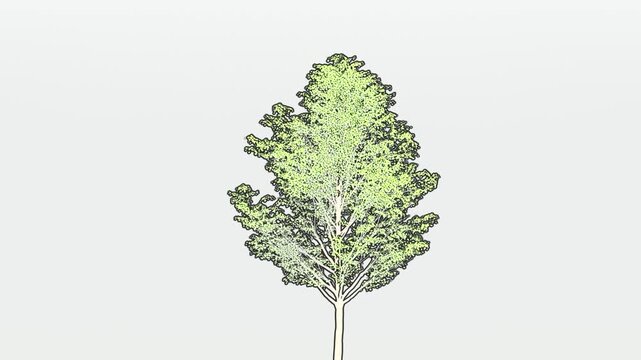 green leaves on a white background 3d video motion suitable to your tree, advertise, display, brand, template, forest, jungle, go green, world earth, and more