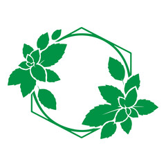 Mint Green Leaves Vector Set, Fresh Herbal Botanical Foliage Collection, Organic Peppermint Plant Illustration, Natural Garden Leaf Elements, Eco Nature Design Isolated on White Background © classic shape