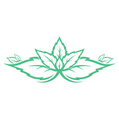 Mint Green Leaves Vector Set, Fresh Herbal Botanical Foliage Collection, Organic Peppermint Plant Illustration, Natural Garden Leaf Elements, Eco Nature Design Isolated on White Background © classic shape