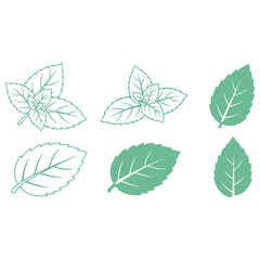 Mint Green Leaves Vector Set, Fresh Herbal Botanical Foliage Collection, Organic Peppermint Plant Illustration, Natural Garden Leaf Elements, Eco Nature Design Isolated on White Background © classic shape