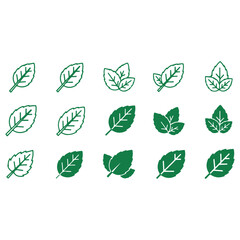 Mint Green Leaves Vector Set, Fresh Herbal Botanical Foliage Collection, Organic Peppermint Plant Illustration, Natural Garden Leaf Elements, Eco Nature Design Isolated on White Background © classic shape