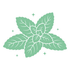 Mint Green Leaves Vector Set, Fresh Herbal Botanical Foliage Collection, Organic Peppermint Plant Illustration, Natural Garden Leaf Elements, Eco Nature Design Isolated on White Background © classic shape